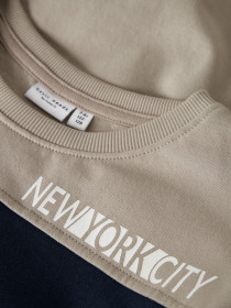 NAME IT Sweatshirt Vance Island Fossil